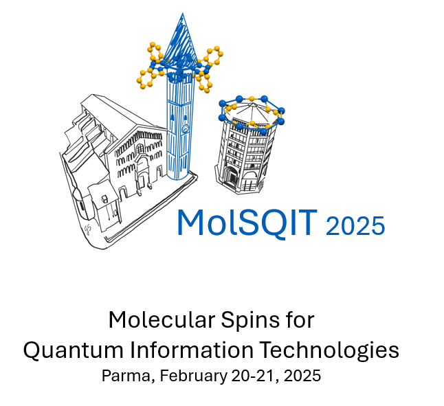 Workshop: Molecular Spins for Quantum Information Technologies